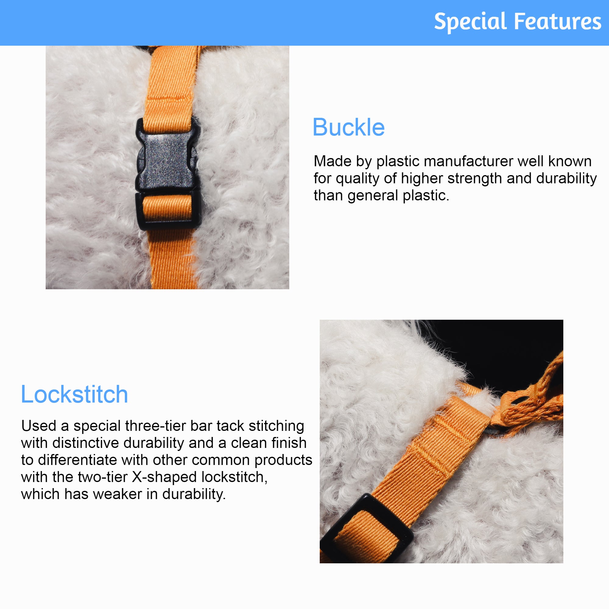 Lof Collar featuring durable 40-stitch webbing, adjustable sizes, and stylish design for dogs.