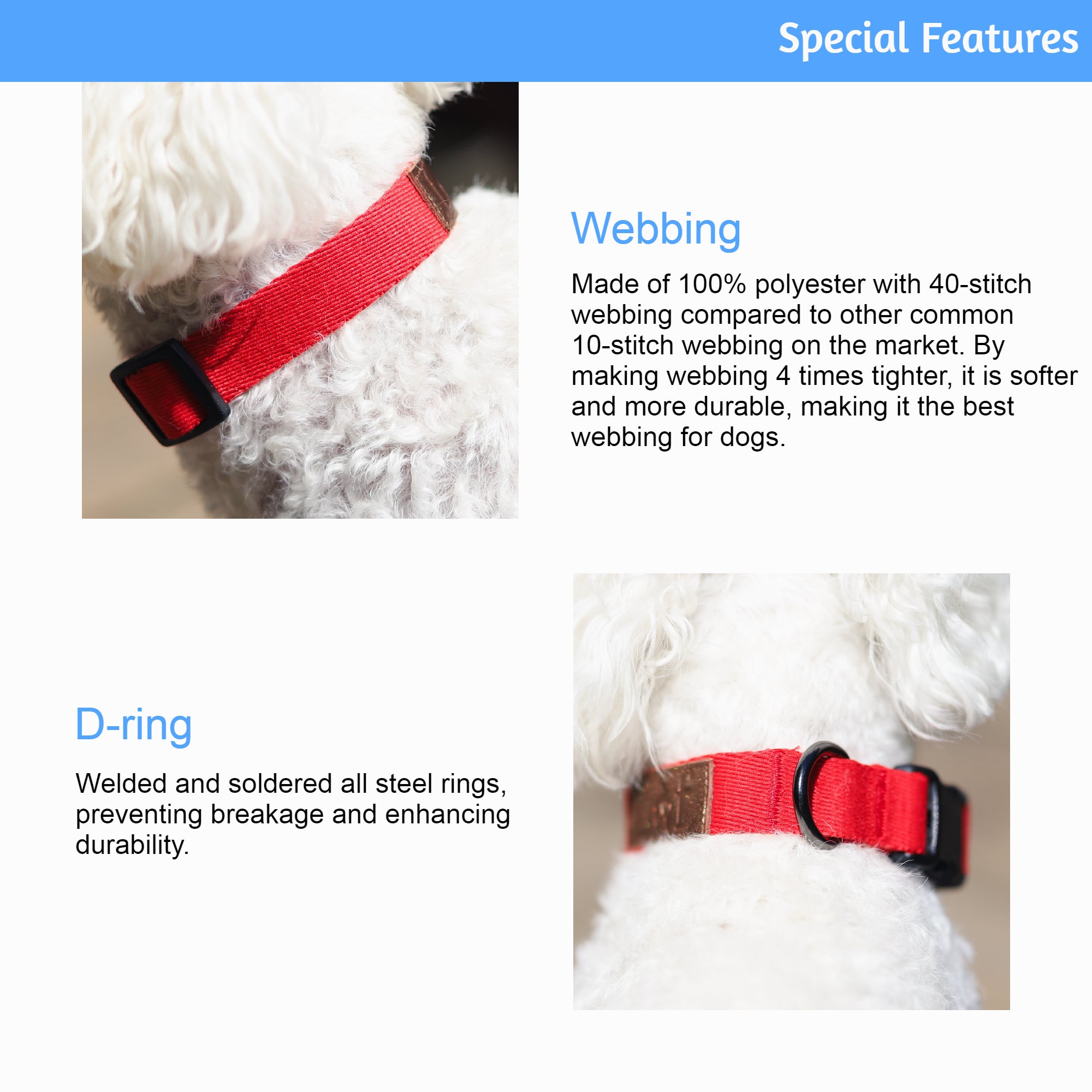 Lof Collar featuring durable 40-stitch webbing, adjustable sizes, and stylish design for dogs.
