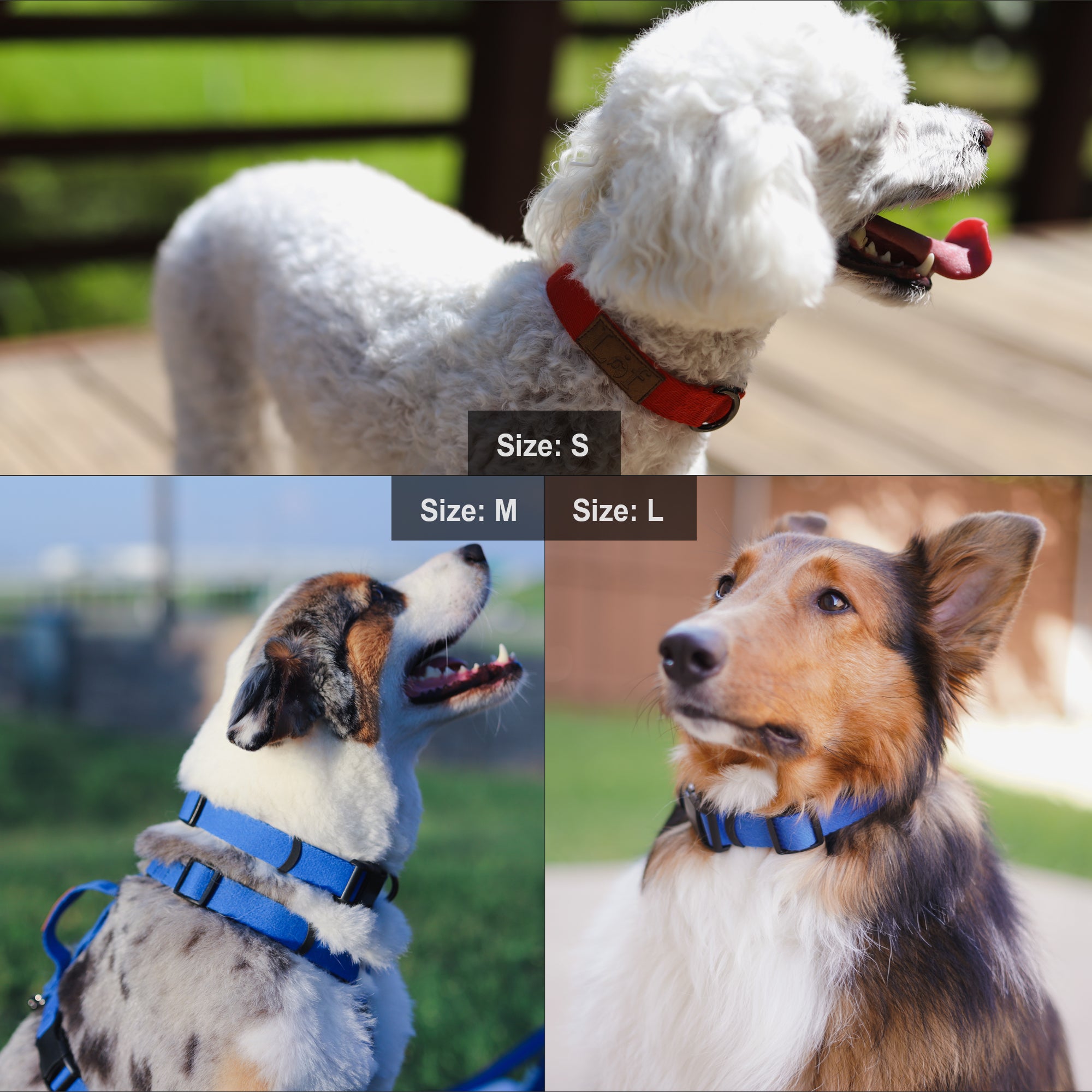 Lof Collar featuring durable 40-stitch webbing, adjustable sizes, and stylish design for dogs.