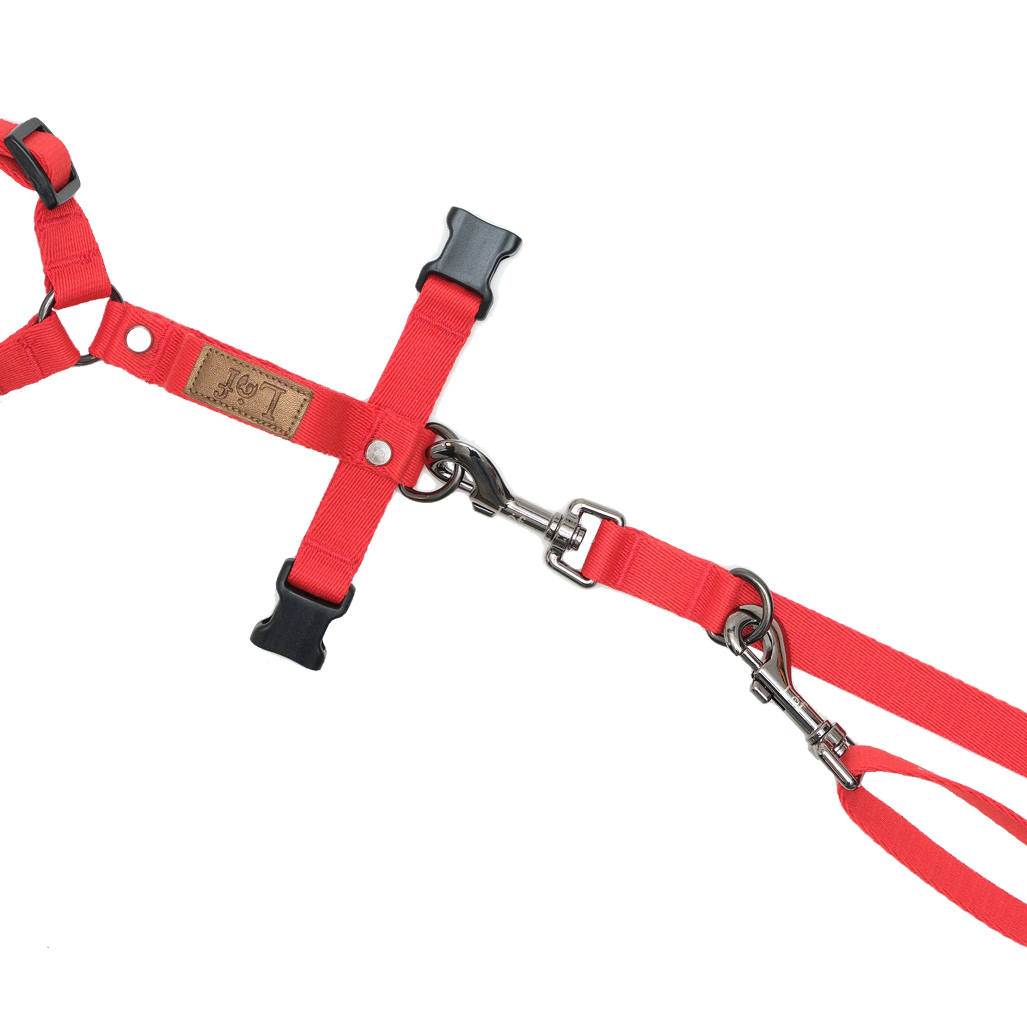 Lof Folding Lead Leash showcasing its adjustable length and durable design, perfect for dog walking.
