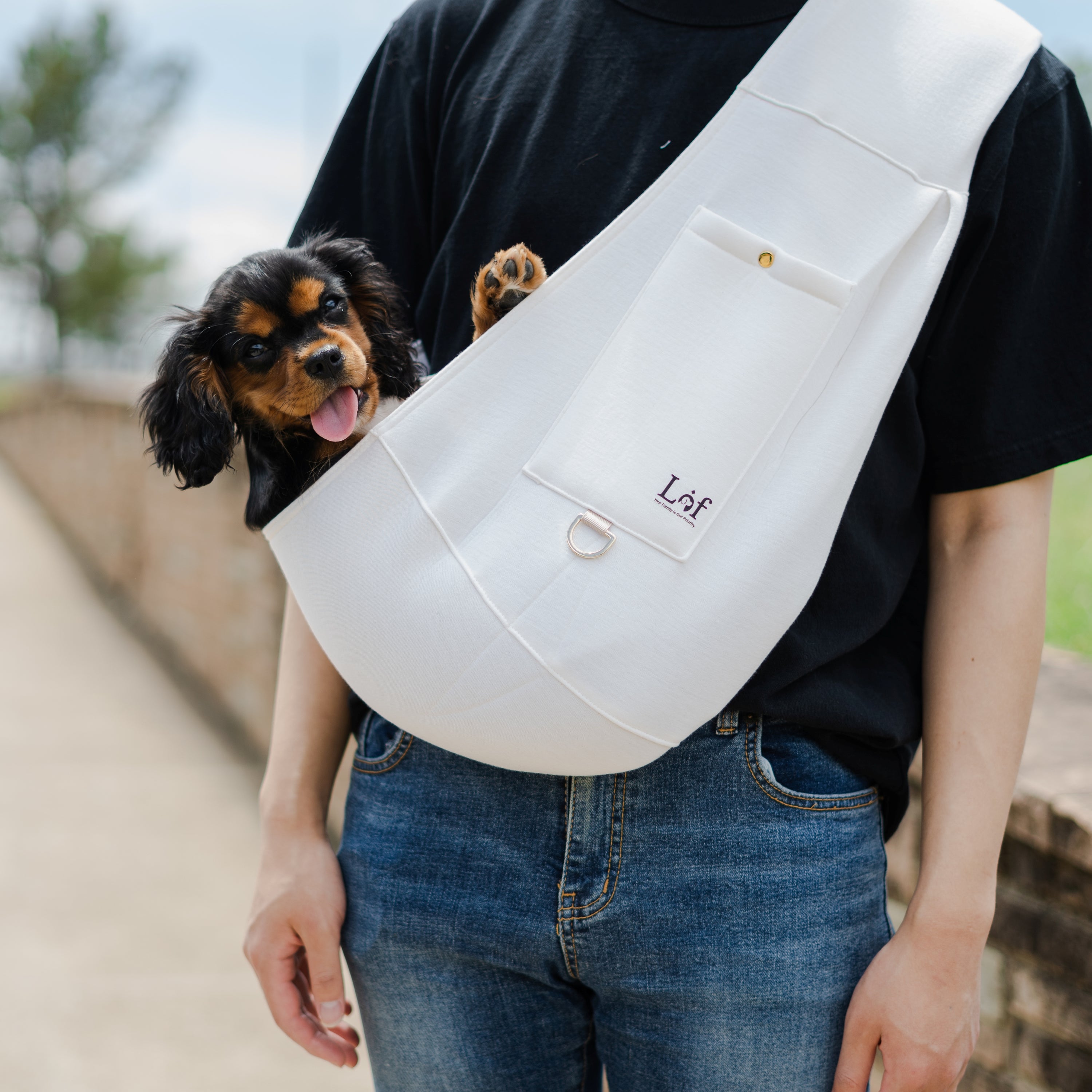 Lof Neoprene Pet Sling Carrier in stylish design, securely holding a small dog, showcasing its comfort and convenience.