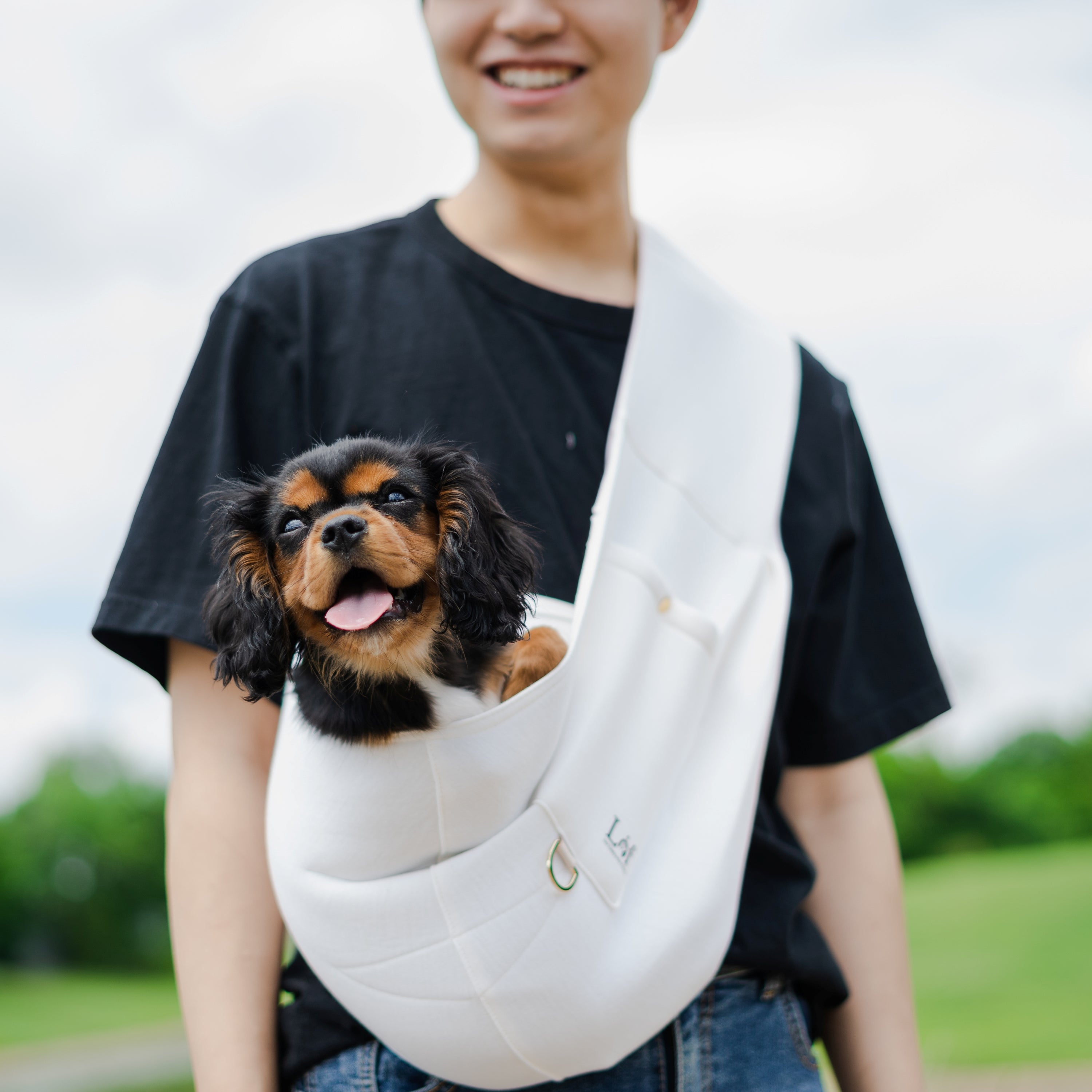 Lof Neoprene Pet Sling Carrier in stylish design, securely holding a small dog, showcasing its comfort and convenience.