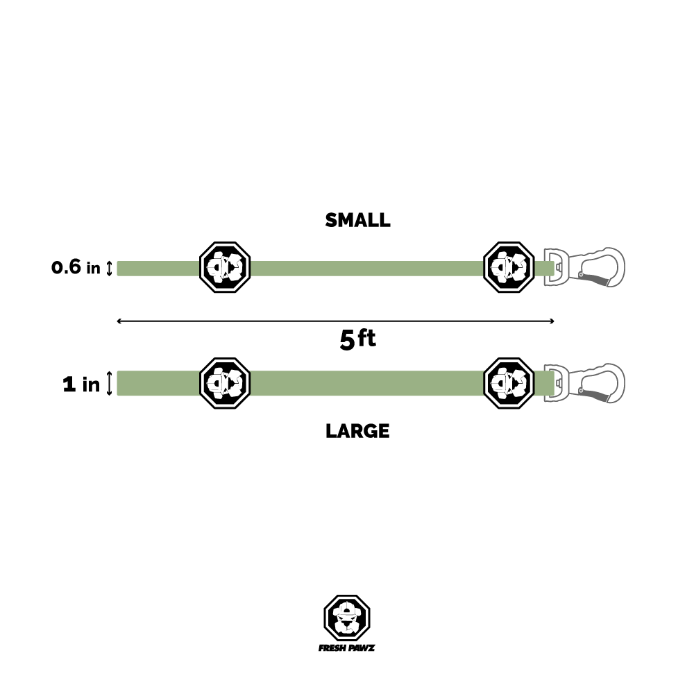 Los Angeles Lakers x Fresh Pawz Hardwood Leash featuring purple and gold colors with neoprene padded handle and reflective strips.
