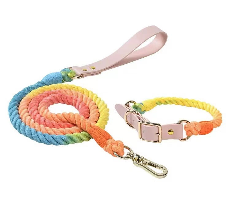 Luxe Royal Leather Rope Leash and Collar Set in classic rainbow design, showcasing hand woven cotton rope and solid brass hardware.
