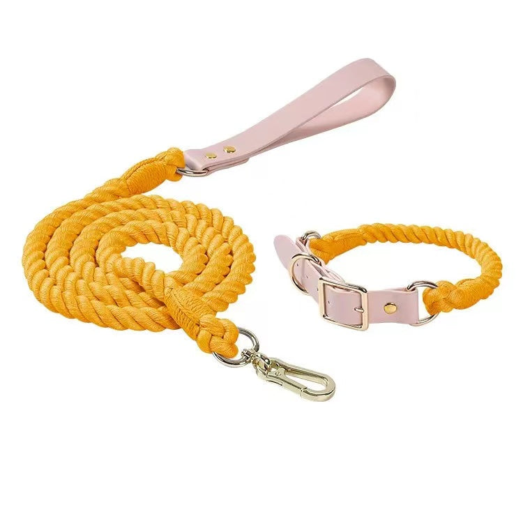 Luxe Royal Leather Rope Leash and Collar Set in Golden Garden color, featuring hand woven cotton rope and solid brass hardware.
