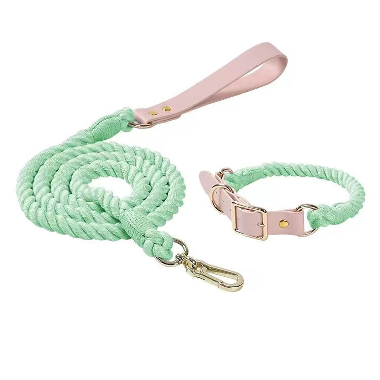 Luxe Royal Leather Rope Leash and Collar Set in Mint Green, featuring hand woven cotton rope and solid brass hardware.