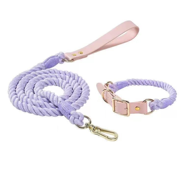 Luxe Royal Leather Rope Leash and Collar Set in Violet, featuring hand woven cotton rope and solid brass hardware.