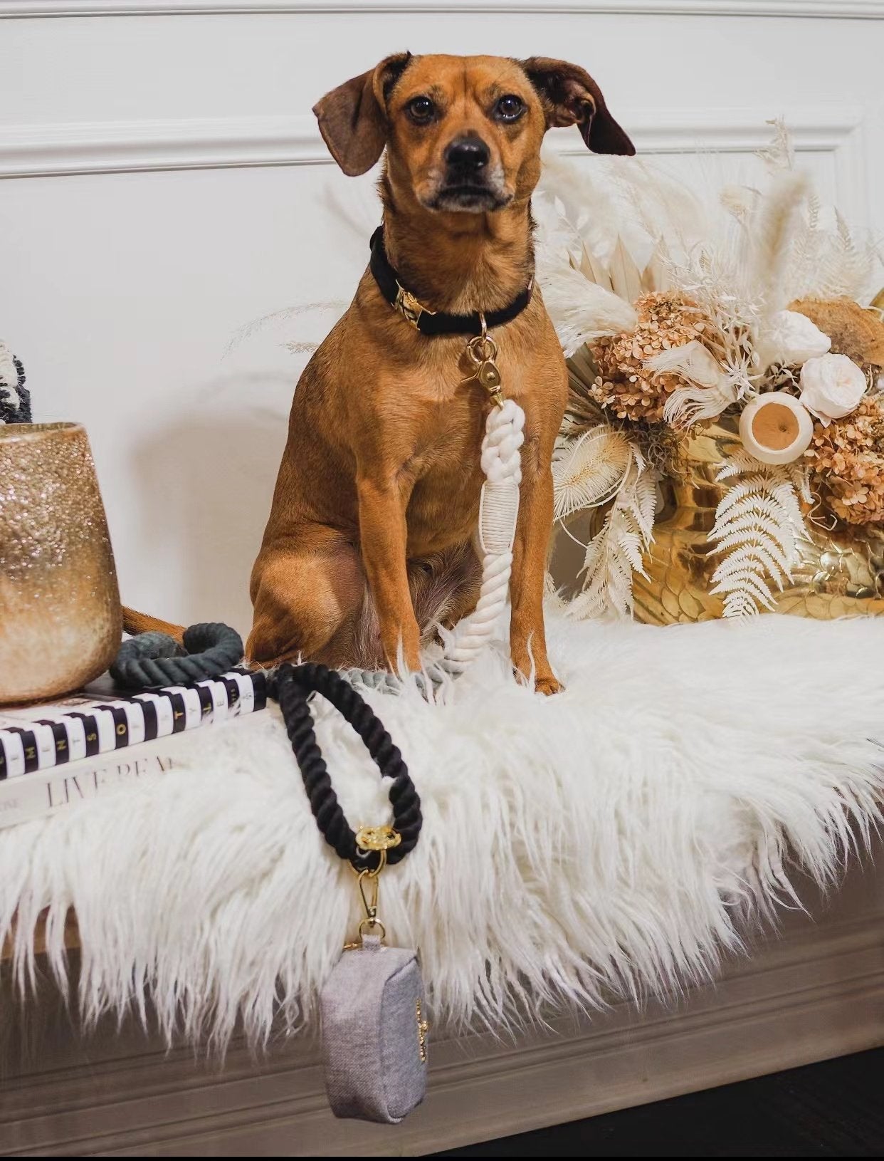 Luxe Royal Pink Leather Rope Leash in violet color, showcasing hand woven cotton rope and solid brass hardware.