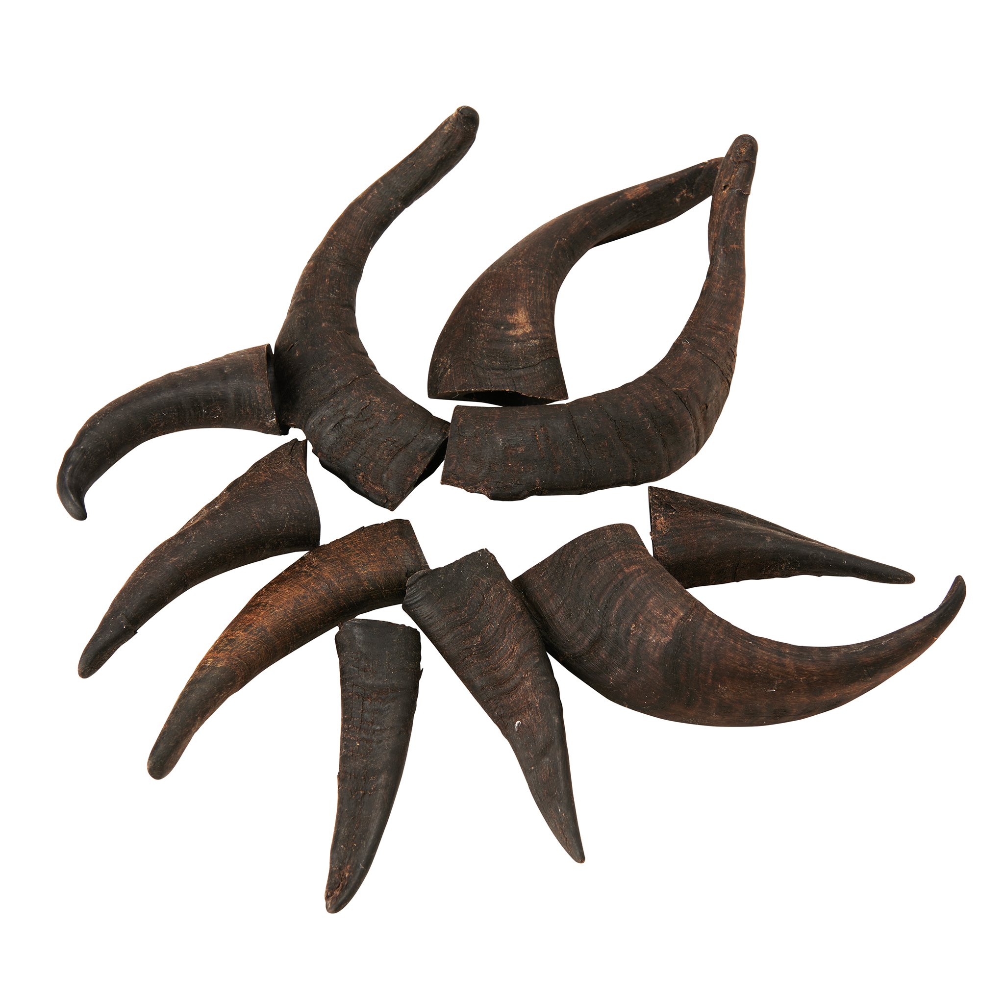 Mountain Goat Horn Dog Chews in a pack, showcasing their natural texture and size, perfect for aggressive chewers.