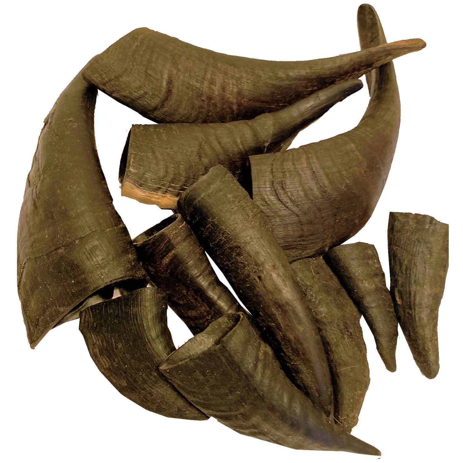 Mountain Goat Horn Dog Chews in a pack, showcasing their natural texture and size, perfect for aggressive chewers.