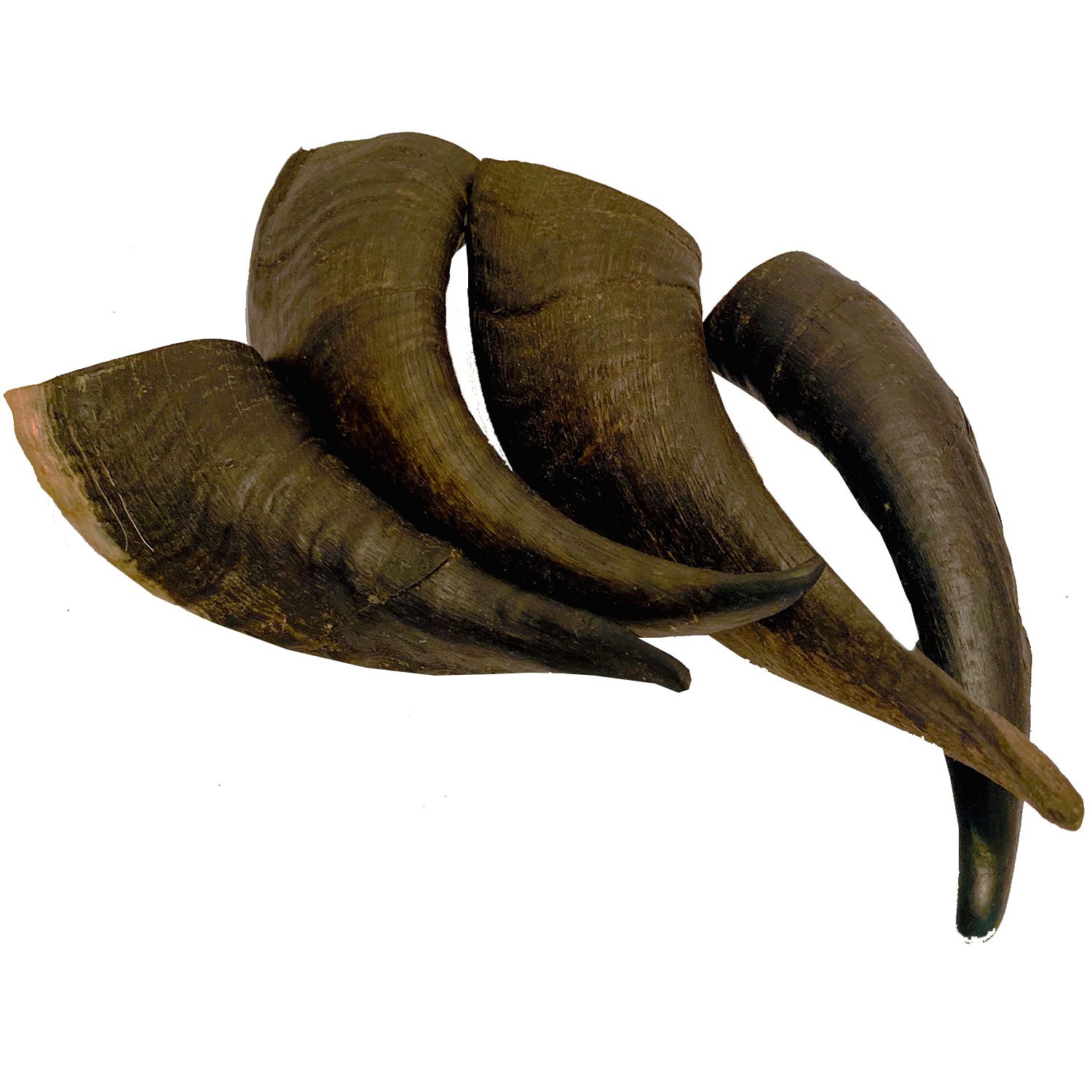 Mountain Goat Horn Dog Chews in a pack, showcasing their natural texture and size, perfect for aggressive chewers.