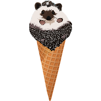 Mr Pokee the Hedgehog air freshener featuring a cute hedgehog design, perfect for adding fragrance to any space.