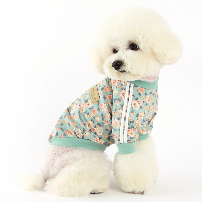 Nancy Track Top Mint for pets, showcasing a stylish mint color and comfortable cotton fabric.
