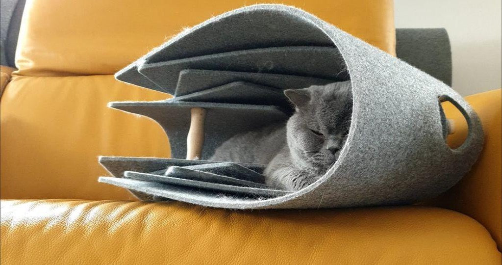 Nautilus Katzenmöbel in Muschelform, ideal für Spiel und Rückzug, aus robustem Filz.