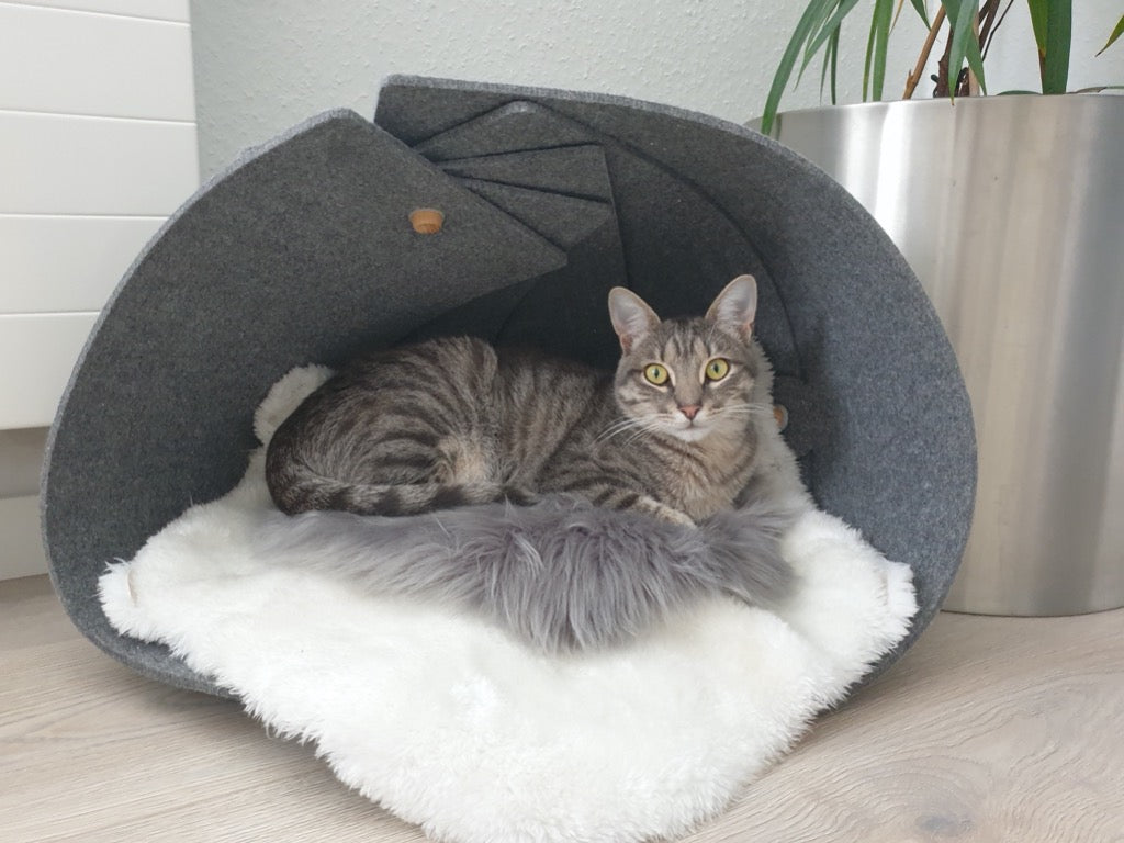 Nautilus Katzenmöbel in Muschelform, ideal für Spiel und Rückzug, aus robustem Filz.