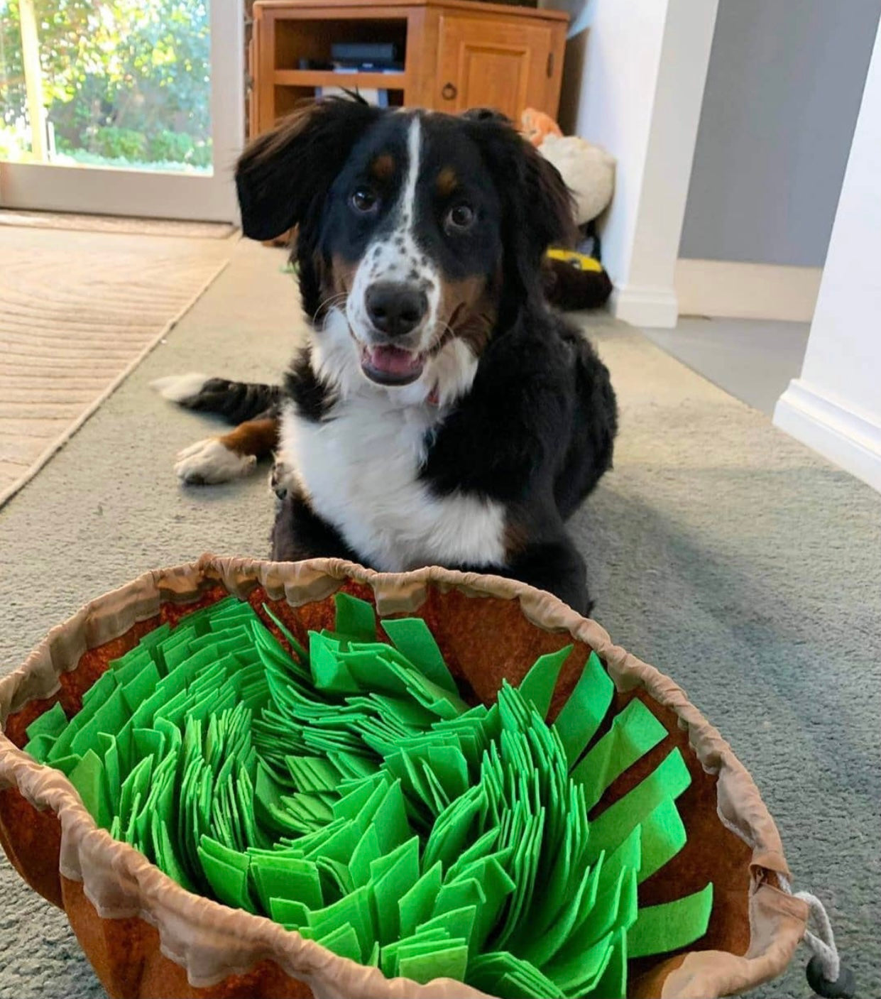 A colorful interactive puzzle toy designed for pets, featuring a rotating top and no-slip base, ideal for encouraging foraging skills.