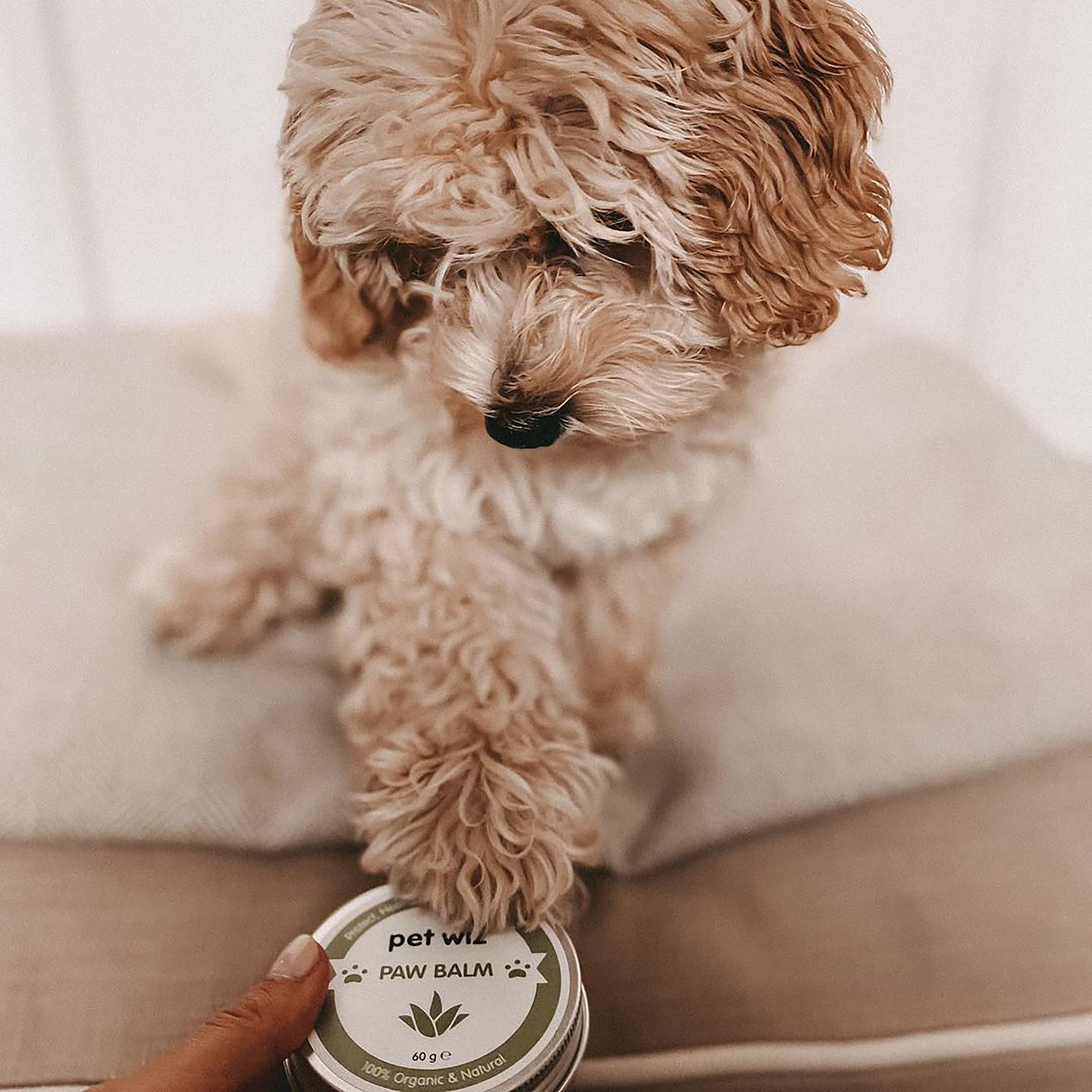 A jar of Organic Paw and Nose Balm for Dogs and Cats, showcasing its natural ingredients and soothing properties for pet care.