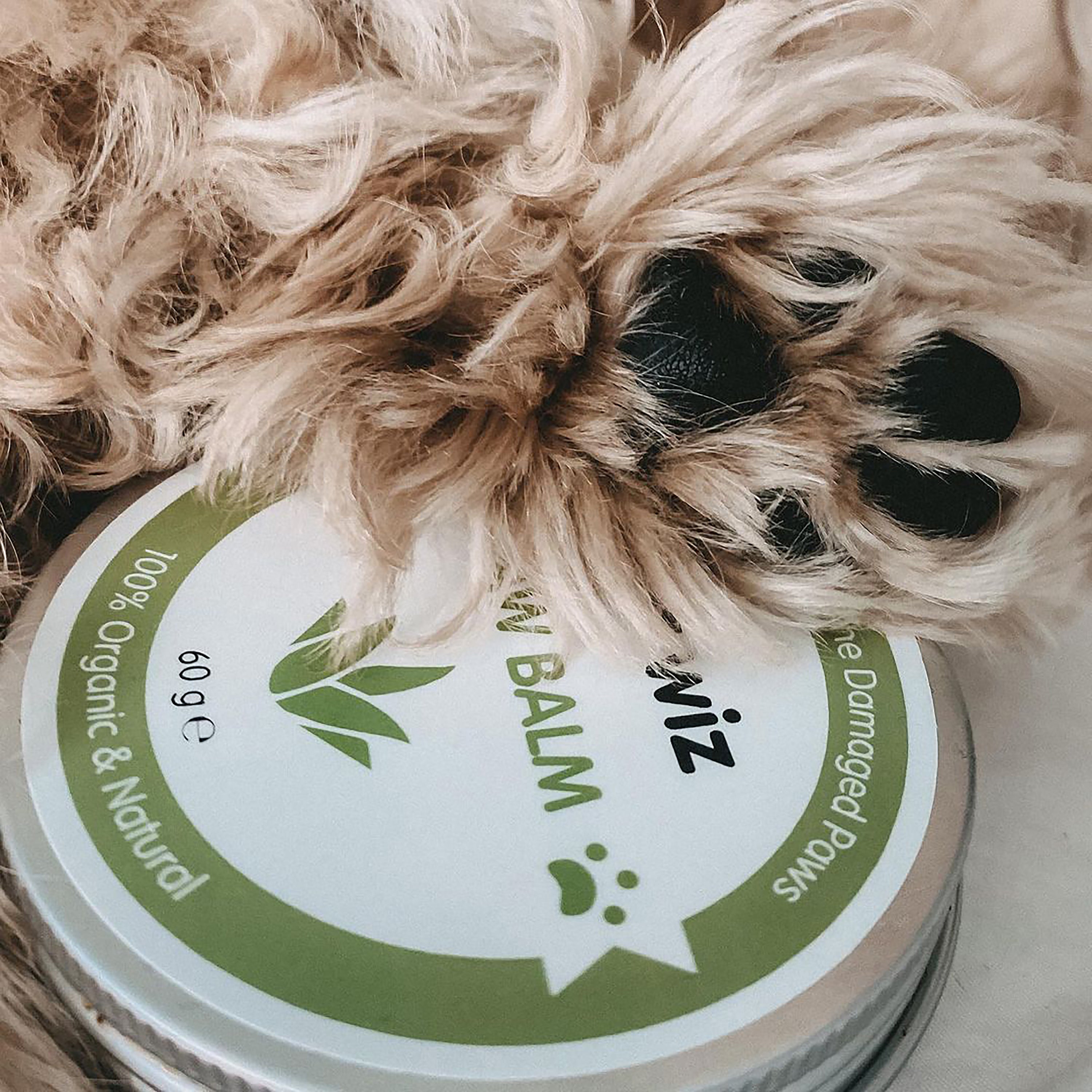 A jar of Organic Paw and Nose Balm for Dogs and Cats, showcasing its natural ingredients and soothing properties for pet care.