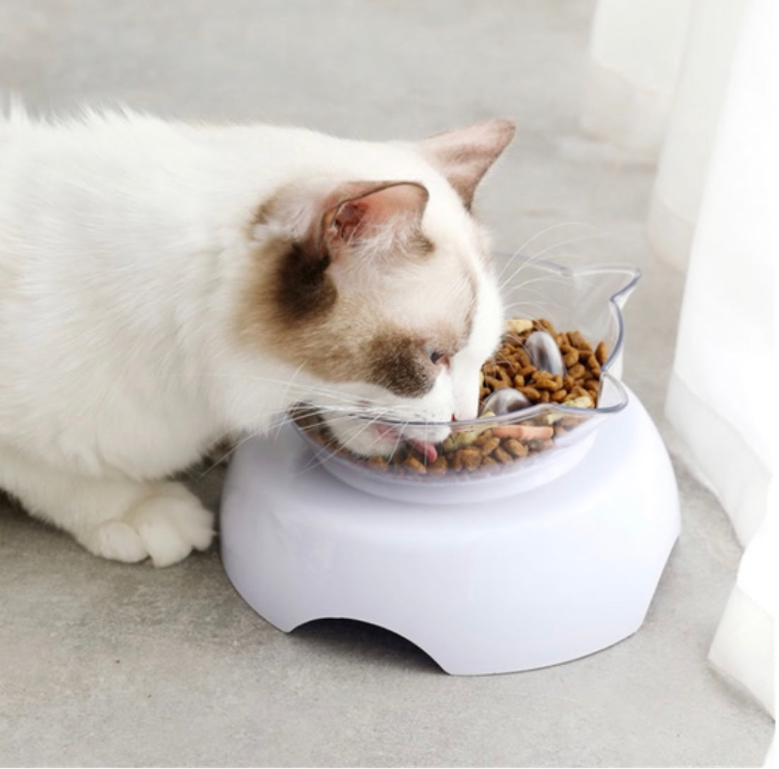Orthopedic cat bowl and slow feeder designed to prevent vomiting and indigestion, featuring an elevated design and sturdy non-tipping base.