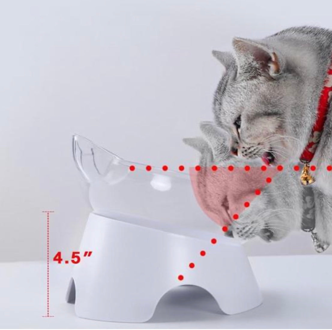 Orthopedic cat bowl and slow feeder designed to prevent vomiting and indigestion, featuring an elevated design and sturdy non-tipping base.