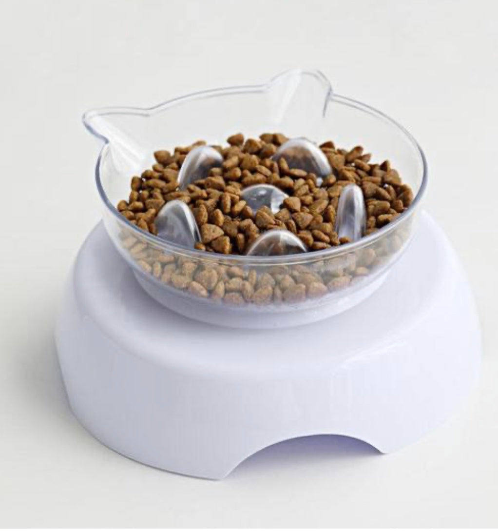 Orthopedic cat bowl and slow feeder designed to prevent vomiting and indigestion, featuring an elevated design and sturdy non-tipping base.