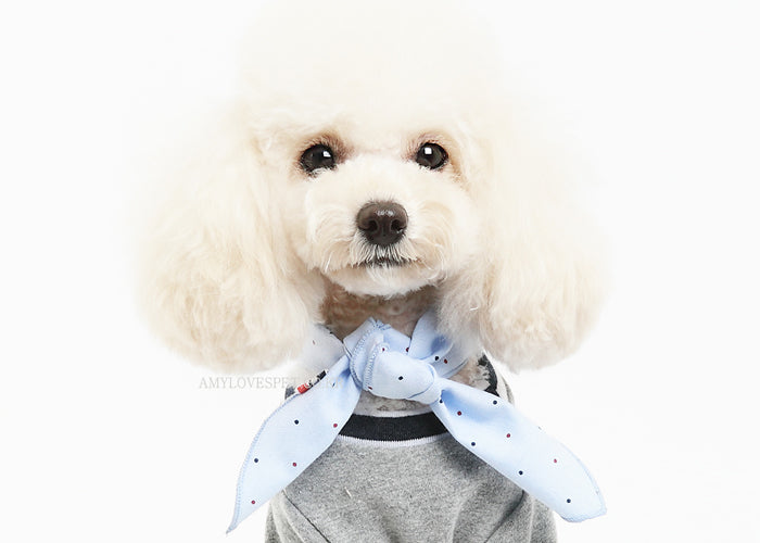 Stylish OX Dot Form-Scarf for pets, showcasing its vibrant colors and comfortable design, perfect for any occasion.