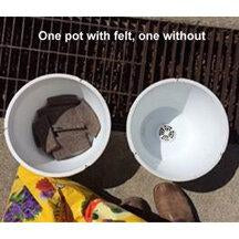 PacaBoost Alpaca Felt House Plant Root Growth Enhancer in a 1-pound bag, showcasing its natural fibers for plant health.