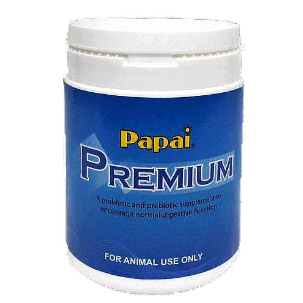 Papai Premium Digestive Supplement for Cats and Dogs in a 150 gm bottle, featuring a clean design and clear labeling.