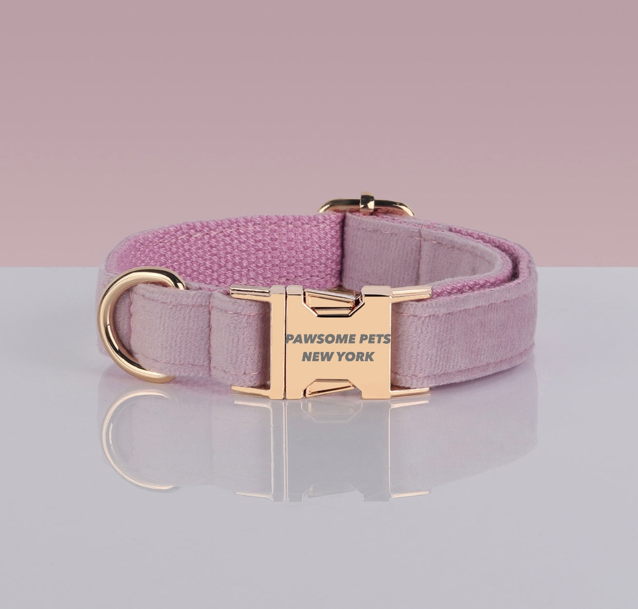 Pawsome Dog Collar - #10 made of durable nylon webbing, featuring a quick-use buckle and adjustable design for comfort.