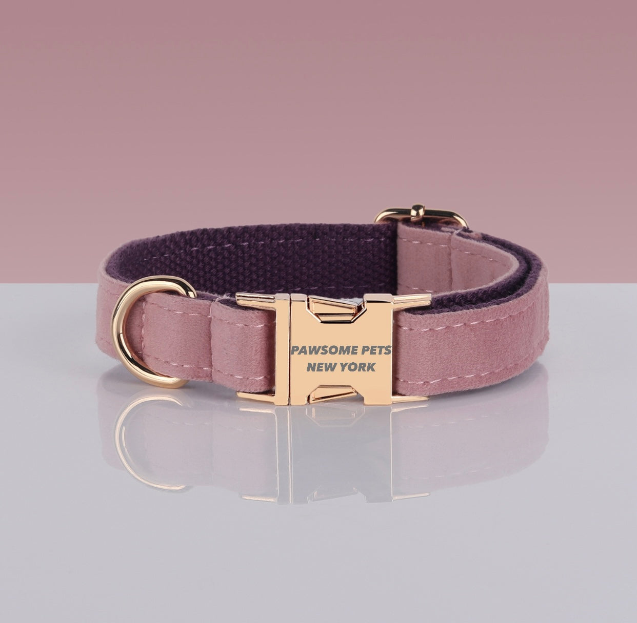 Pawsome Dog Collar - #13 made of durable nylon webbing, featuring a quick-use buckle and adjustable design for comfort.