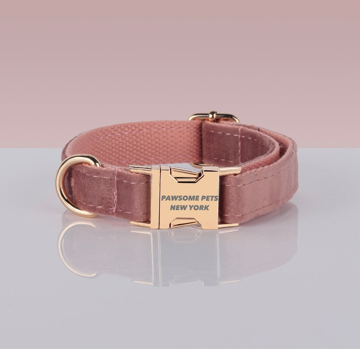 Pawsome Dog Collar - #14, adjustable nylon collar with quick-use buckle, suitable for dogs and cats.