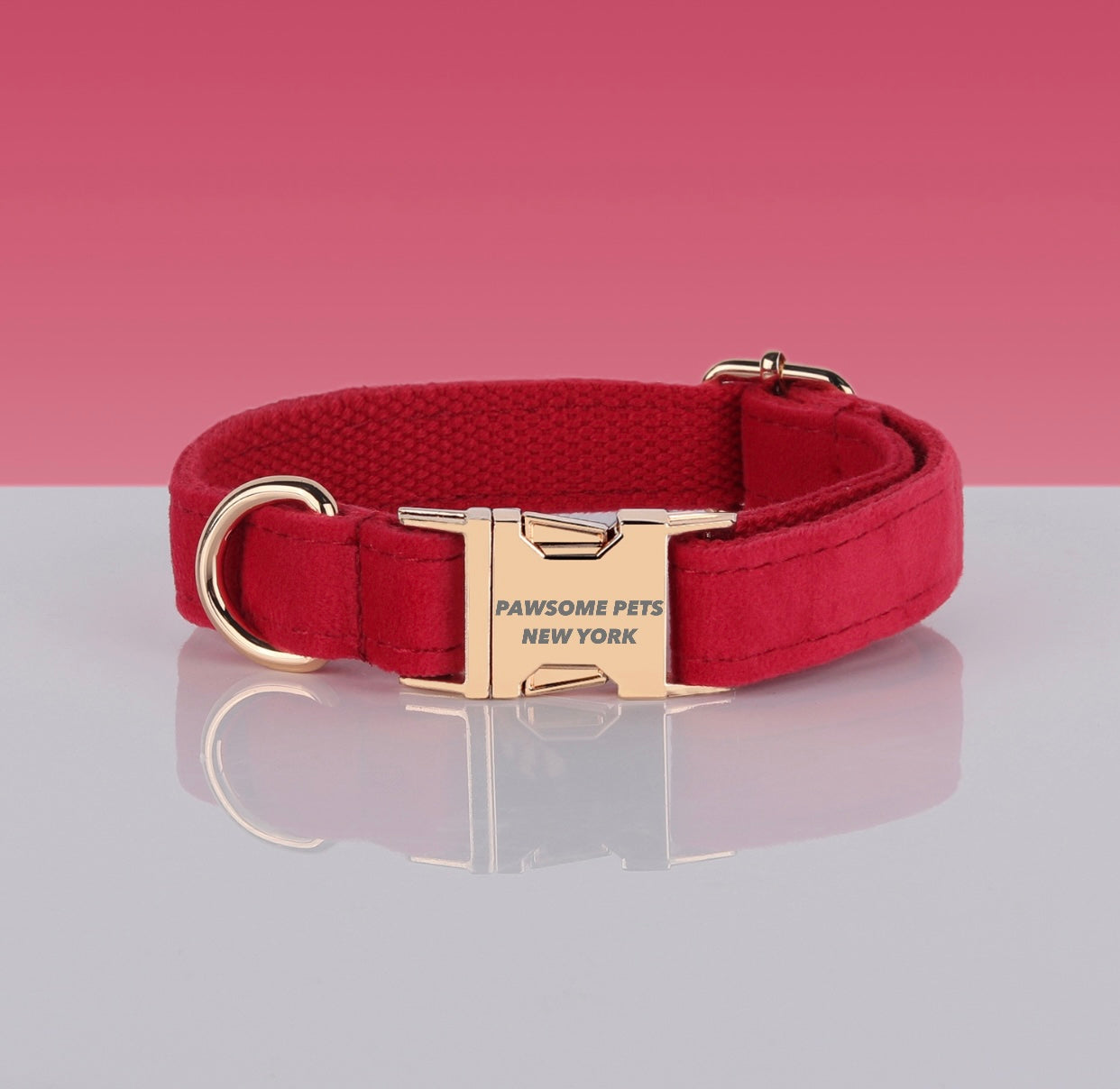 Pawsome Dog Collar - #23 made of durable nylon webbing, featuring a quick-use buckle and adjustable design for comfort.