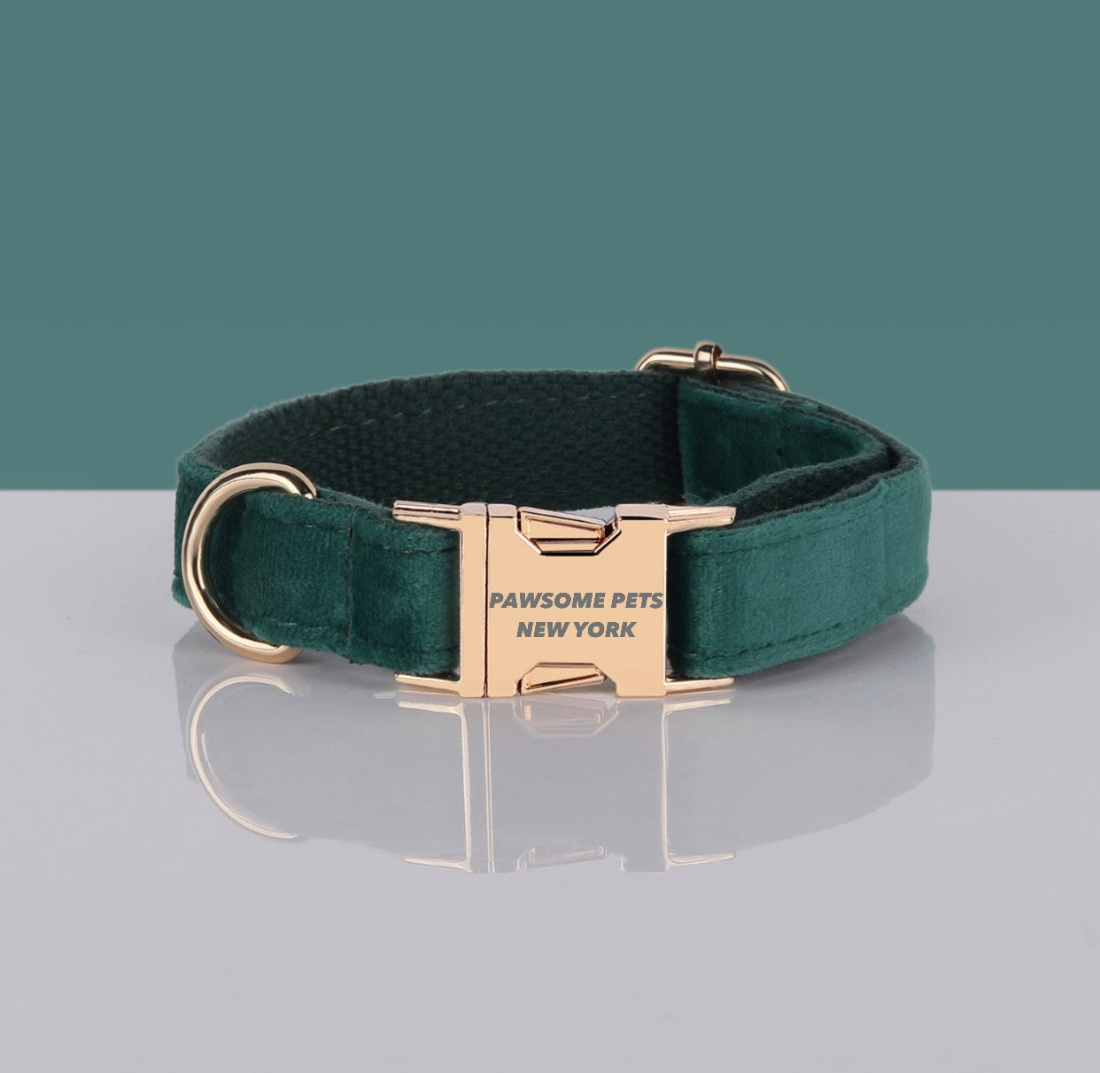 Pawsome Dog Collar - #25 made of durable nylon webbing, featuring a quick-use buckle and adjustable design, suitable for dogs and cats.