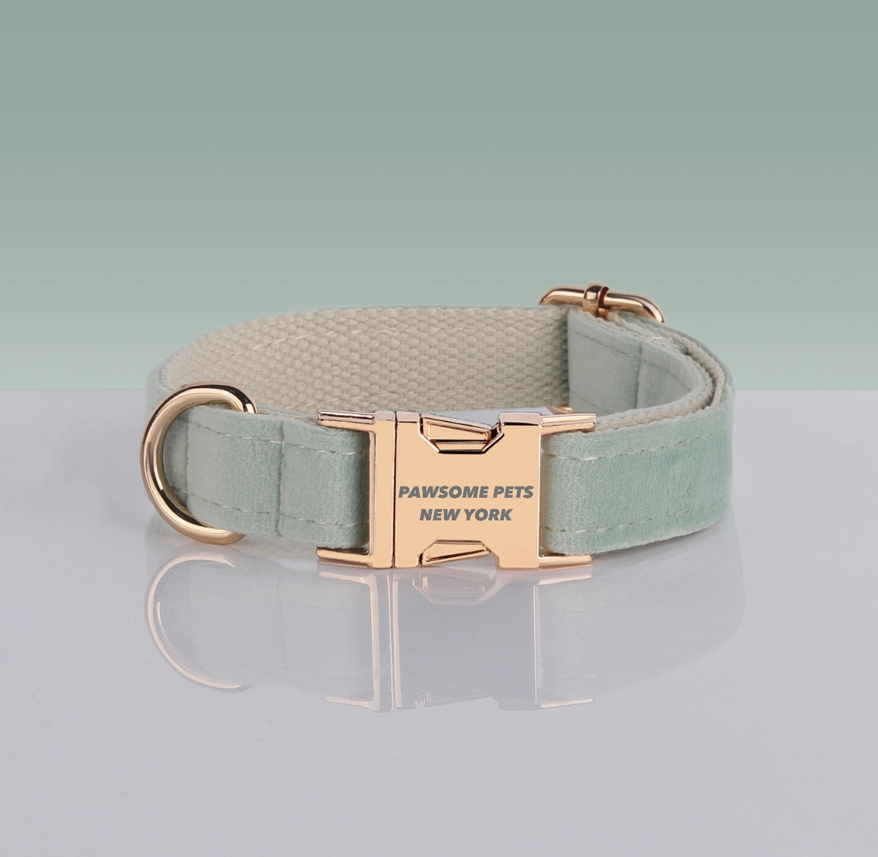 Pawsome Dog Collar - #30, adjustable nylon collar with quick-use buckle, suitable for dogs and cats.