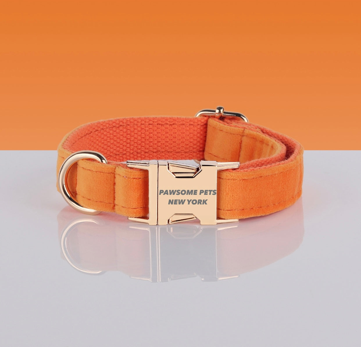 Pawsome Dog Collar - #5 made of durable nylon webbing, featuring a quick-use buckle and adjustable design for comfort.