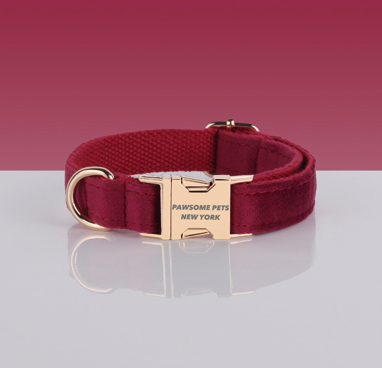 Pawsome Dog Collar - #6 made from durable nylon webbing, featuring a quick-use buckle and adjustable design for comfort.