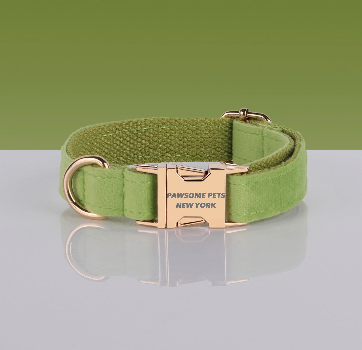 Pawsome Dog Collar - #7 featuring durable nylon webbing and a quick-use buckle, perfect for dogs and cats.