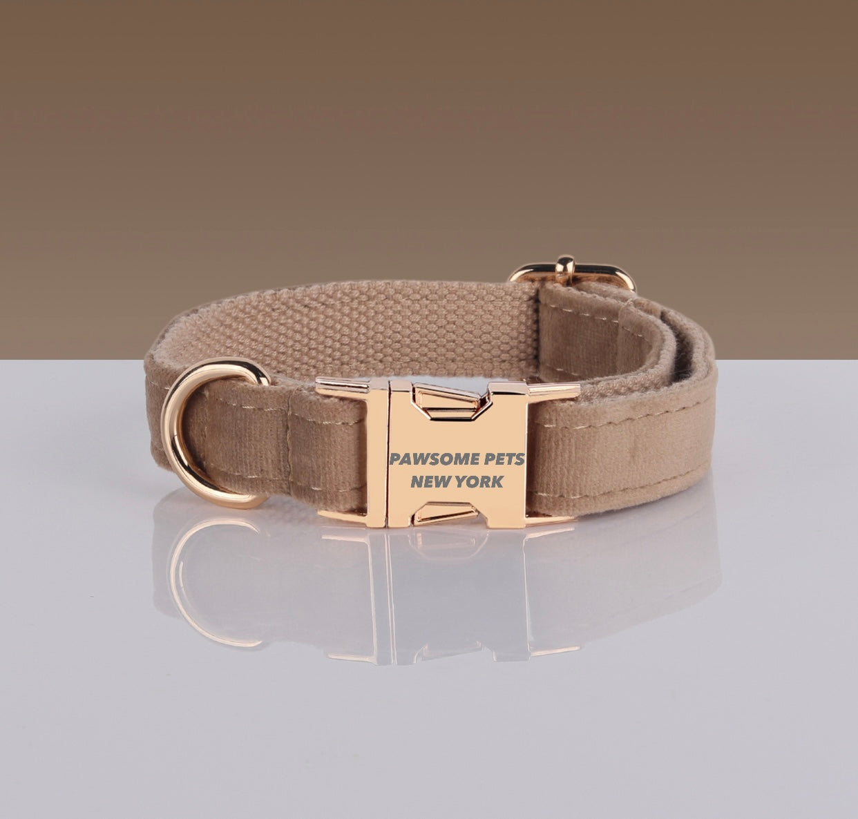 Pawsome Dog Collar - #8 made from durable nylon webbing, featuring a quick-use buckle and adjustable design for comfort.