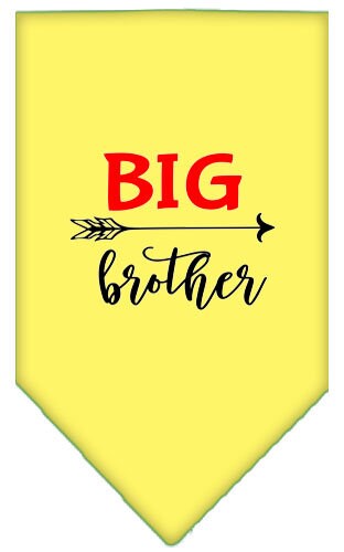 A stylish dog bandana featuring the phrase 'Big Brother', designed for pets of all sizes.