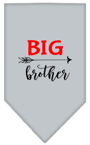 A stylish dog bandana featuring the phrase 'Big Brother', designed for pets of all sizes.