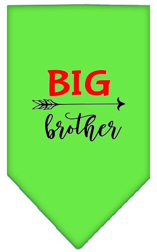 A stylish dog bandana featuring the phrase 'Big Brother', designed for pets of all sizes.