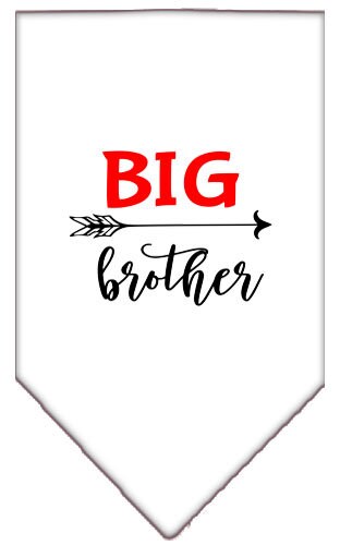 A stylish dog bandana featuring the phrase 'Big Brother', designed for pets of all sizes.
