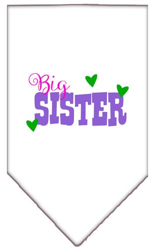 A stylish pet bandana featuring the screen printed text 'Big Sister', designed for dogs of all sizes, showcasing a vibrant and fun design.