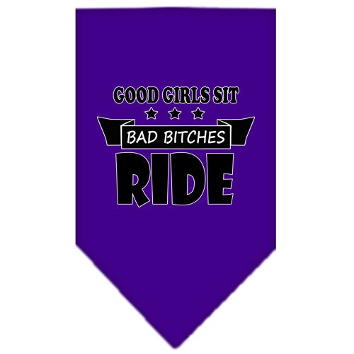 A stylish pet bandana featuring the phrase 'Bitches Ride', designed for dogs, available in two sizes, showcasing a fun and playful design.