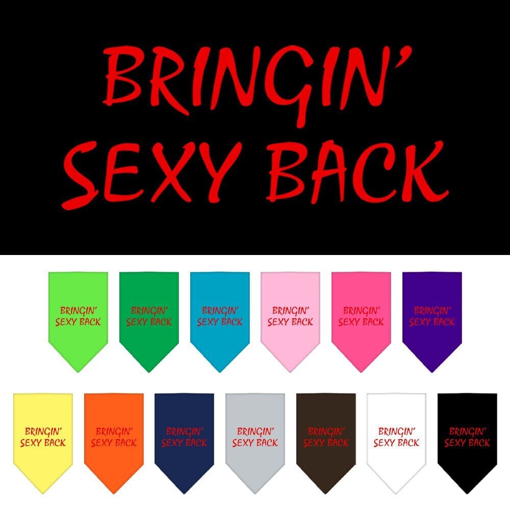 A stylish pet bandana featuring the phrase 'Bringin Sexy Back', designed for dogs, available in small and large sizes.