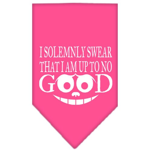 A stylish dog bandana featuring the phrase 'I Solemnly Swear That I Am Up To No Good', designed for tie-on use.
