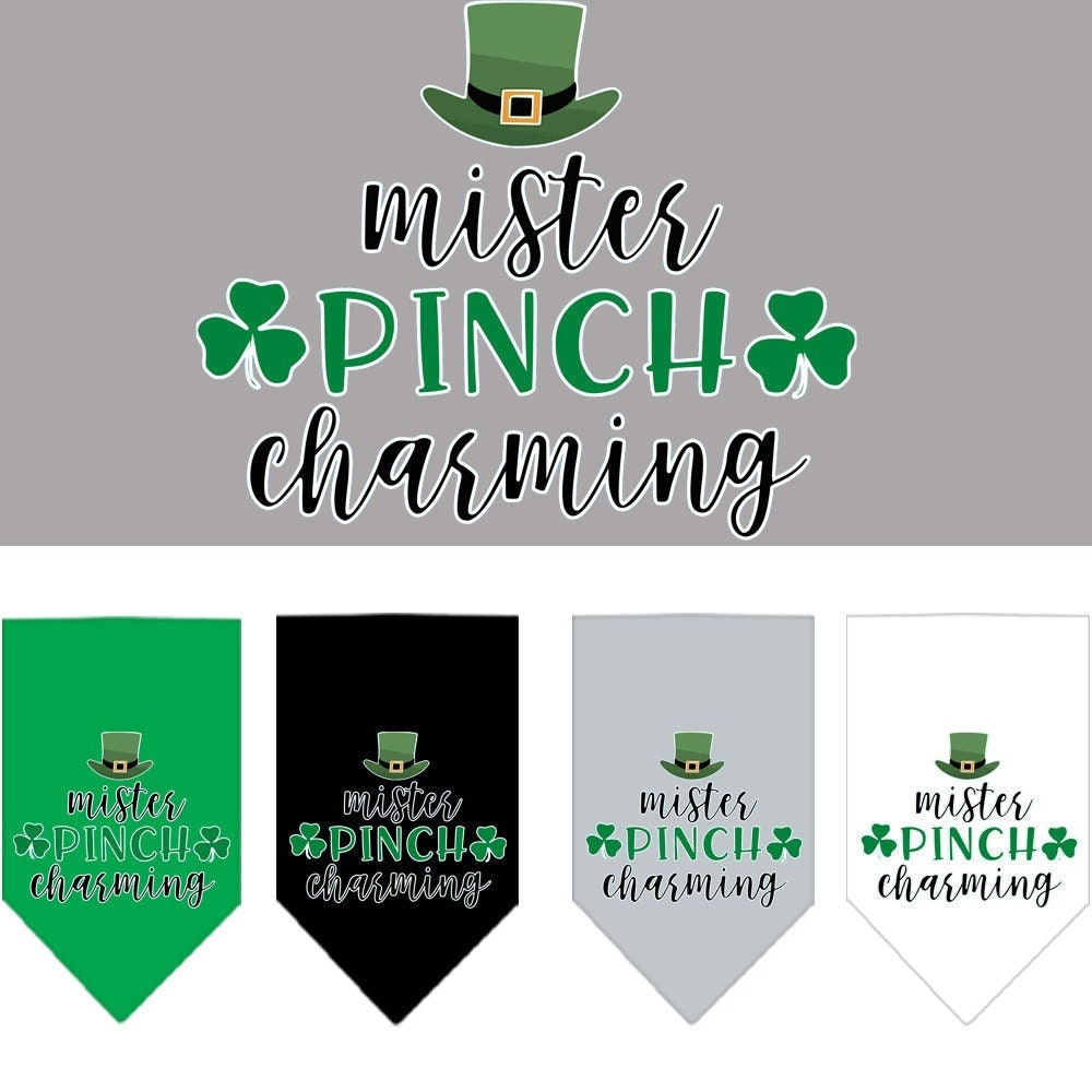 A stylish dog bandana featuring the phrase 'Mr. Pinch Charming', designed for tie-on wear, available in small and large sizes.