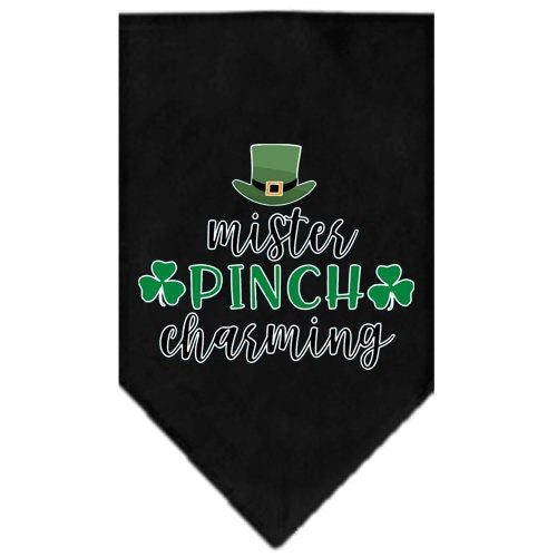 A stylish dog bandana featuring the phrase 'Mr. Pinch Charming', designed for tie-on wear, available in small and large sizes.