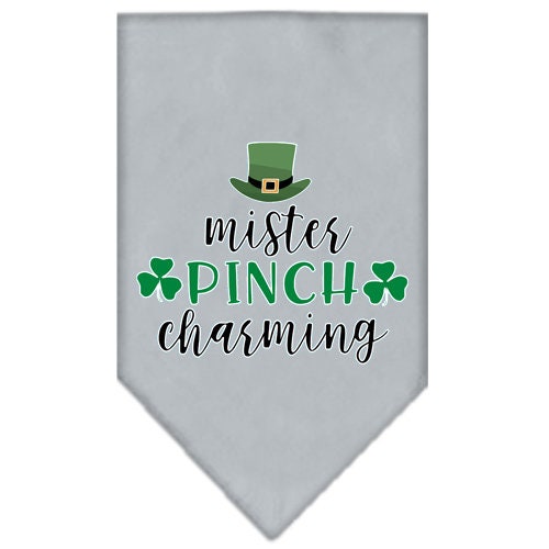 A stylish dog bandana featuring the phrase 'Mr. Pinch Charming', designed for tie-on wear, available in small and large sizes.