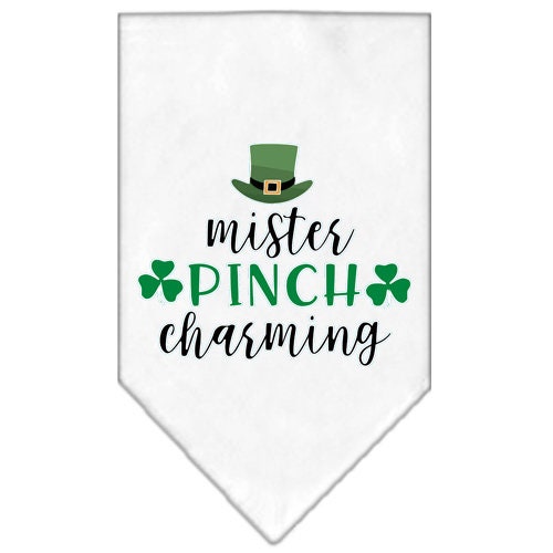A stylish dog bandana featuring the phrase 'Mr. Pinch Charming', designed for tie-on wear, available in small and large sizes.